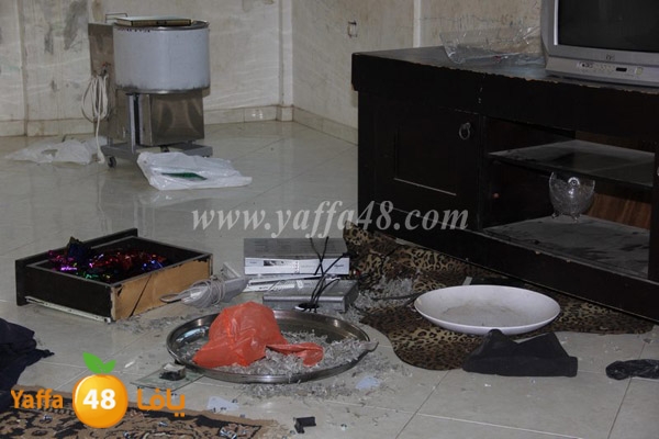 modahama lud 0216 (8).JPG